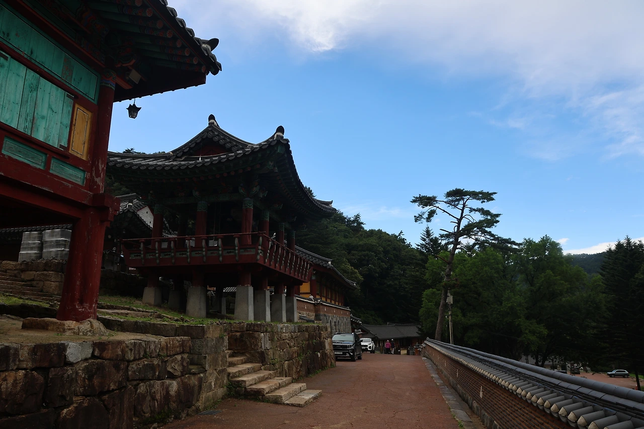 0R5A7609_новый размер.JPG