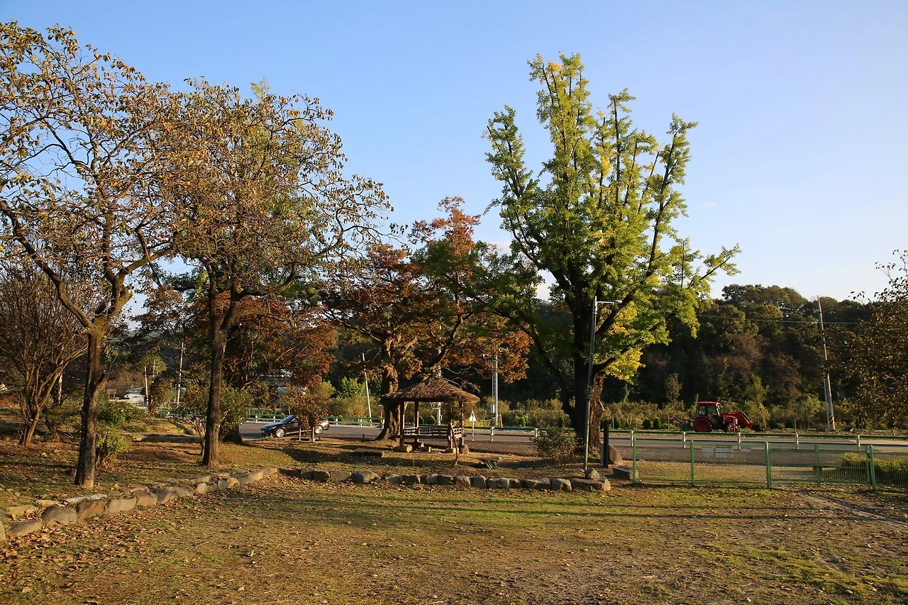 MG0A6672_новый размер.JPG