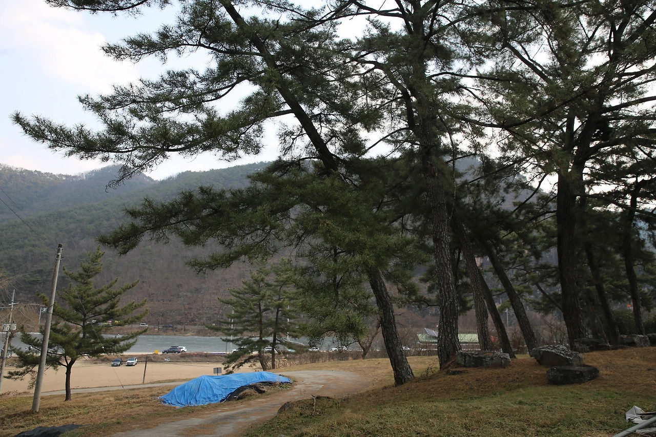 MG0A6242_новый размер.JPG