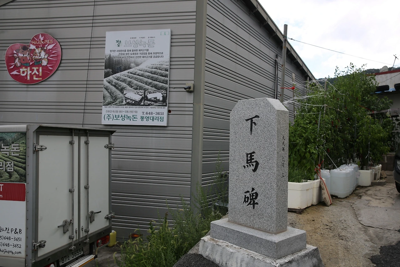 MG0A8731_новый размер.JPG