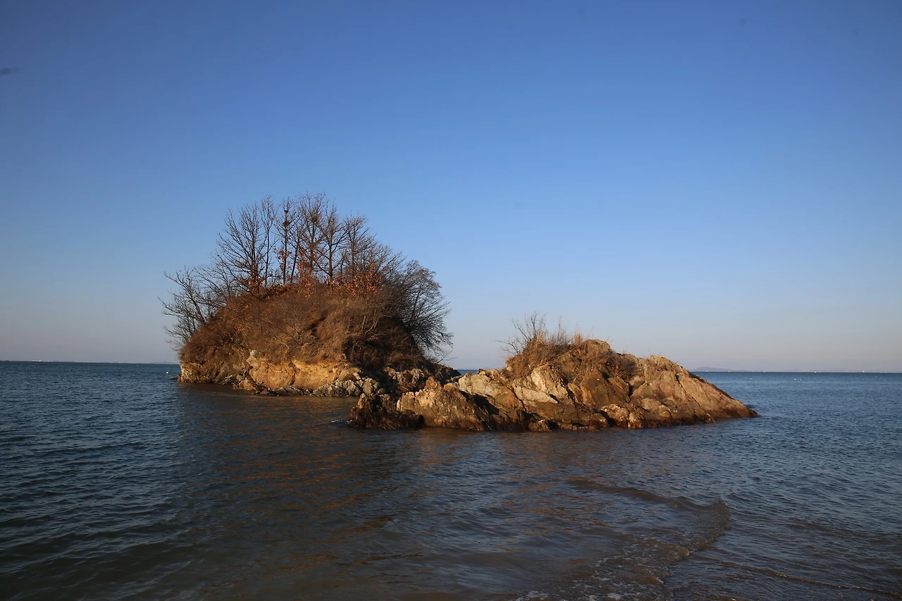 MG0A9597_новый размер.JPG