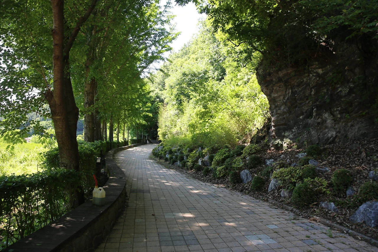 MG0A7955_новый размер.JPG