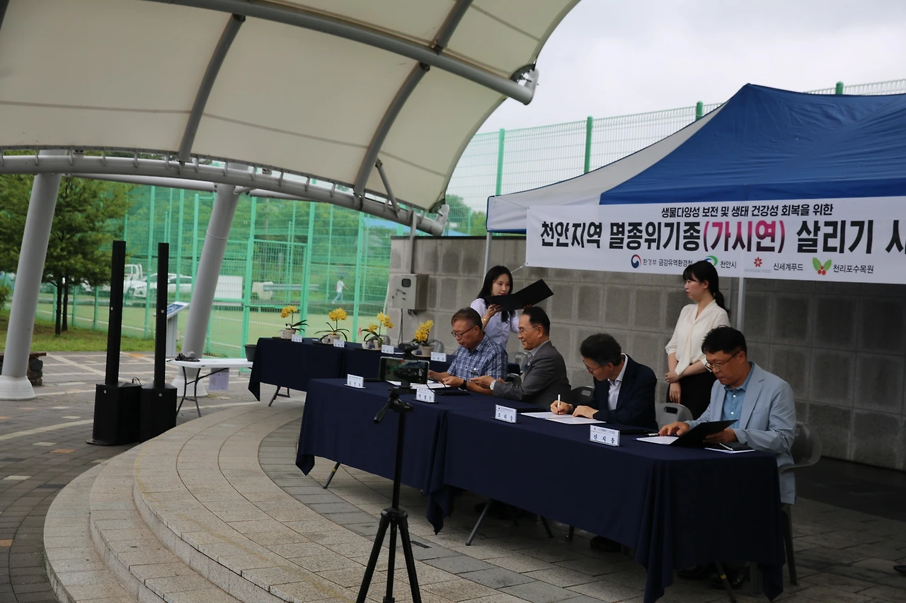 MG0A2478_новый размер.JPG