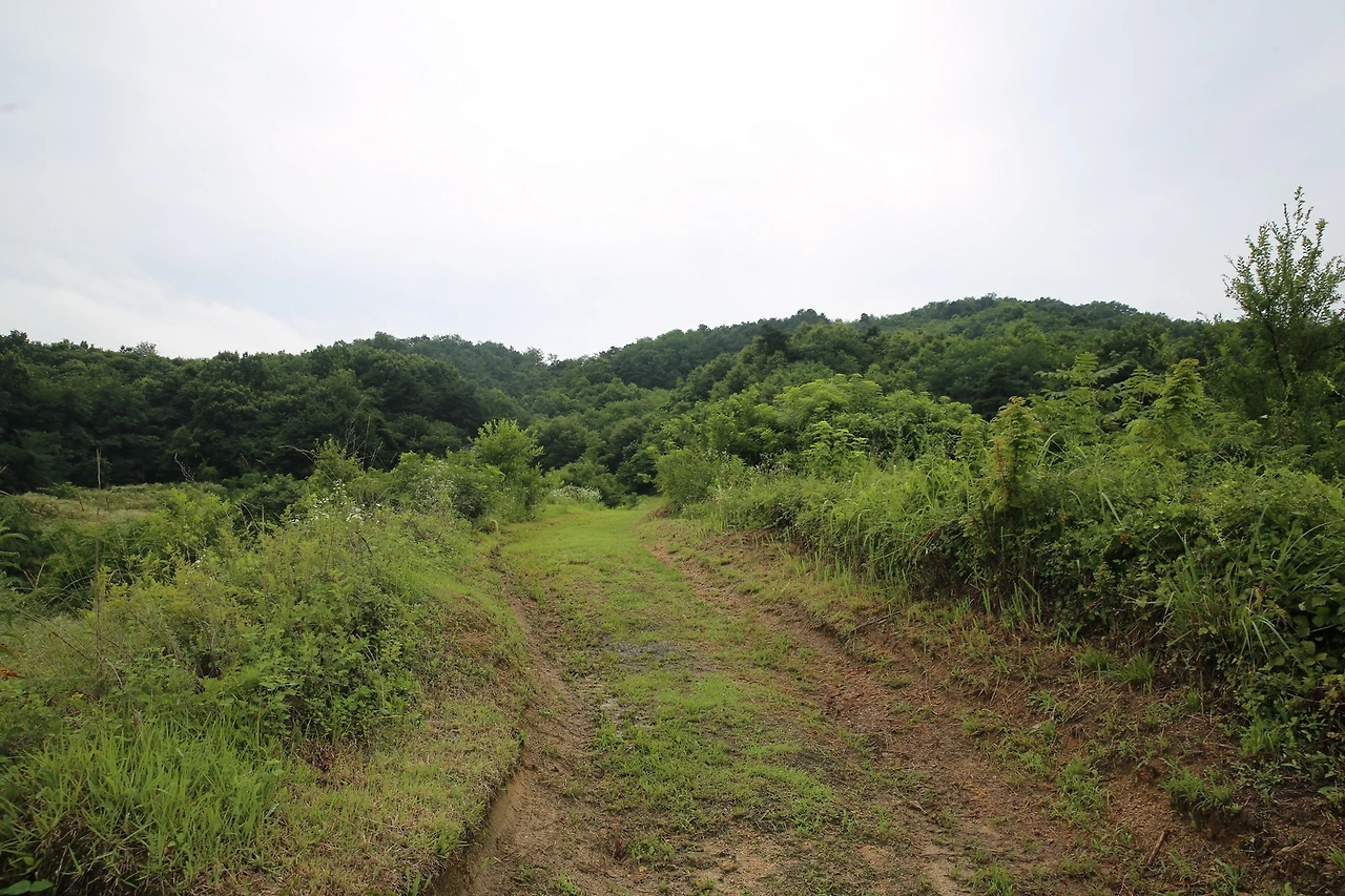 MG0A4706_новый размер.JPG