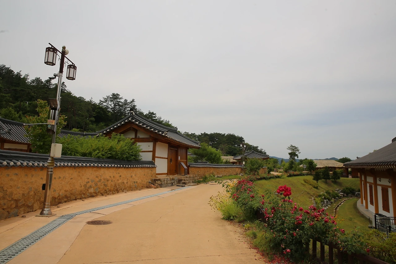 MG0A8601_новый размер.JPG