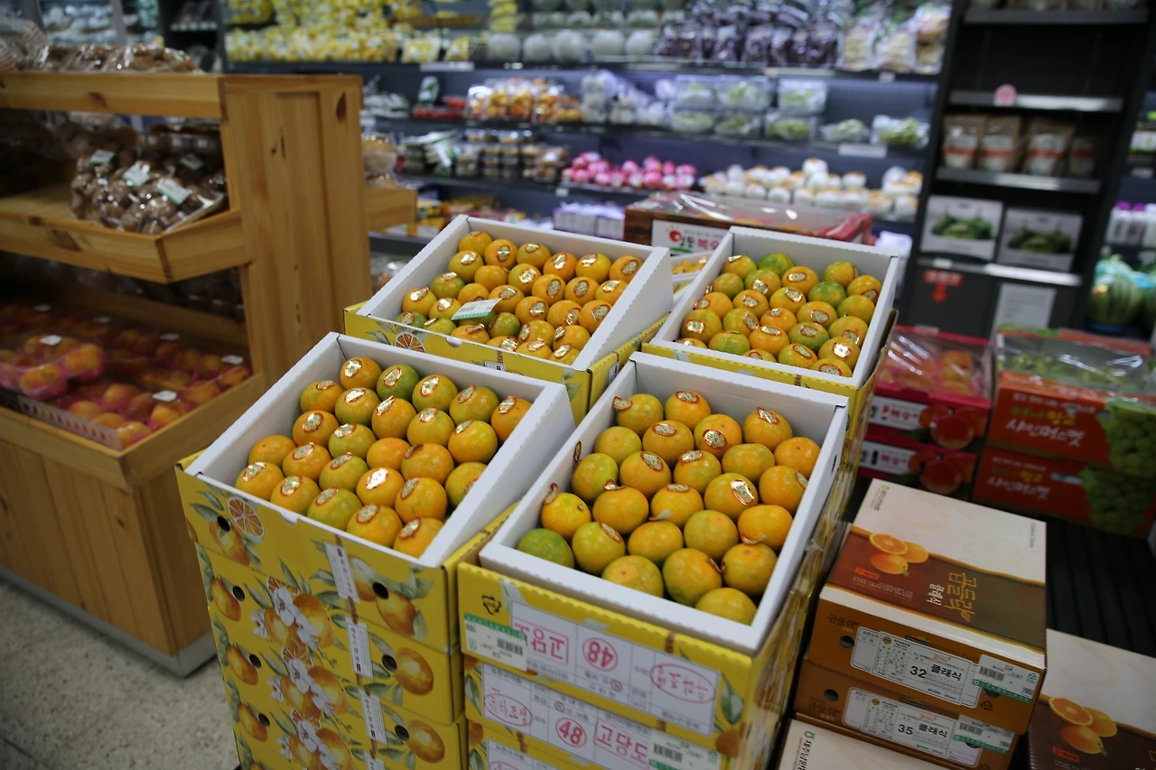 MG0A3009_новый размер.JPG