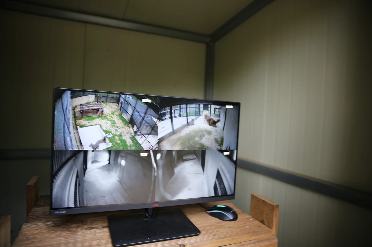 MG0A9626_новый размер.JPG