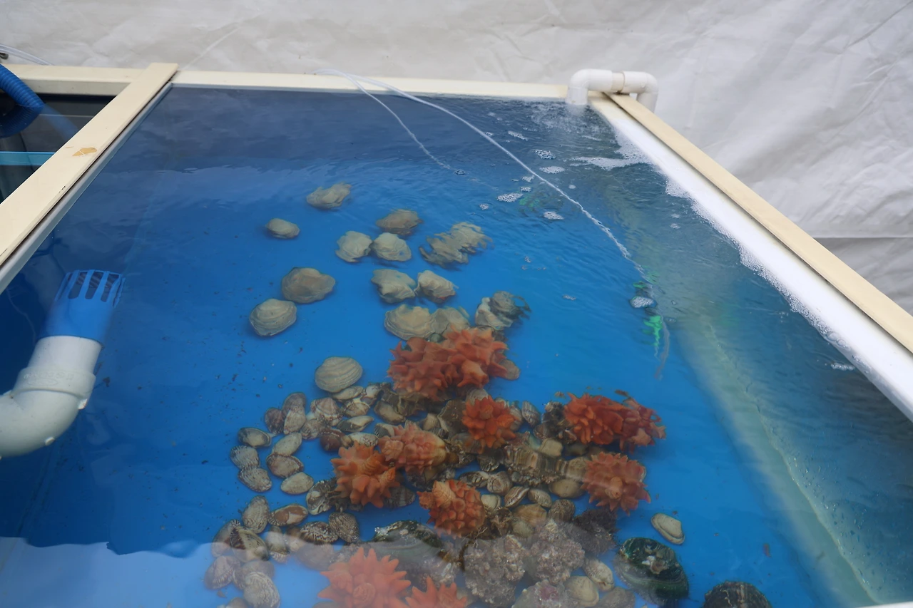 0R5A6005_новый размер.JPG