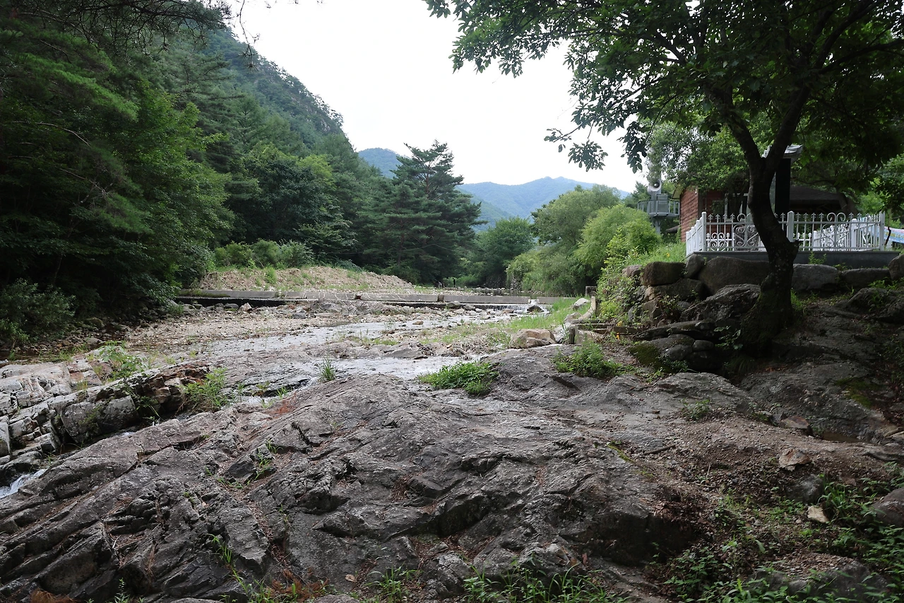 0R5A1205_новый размер.JPG