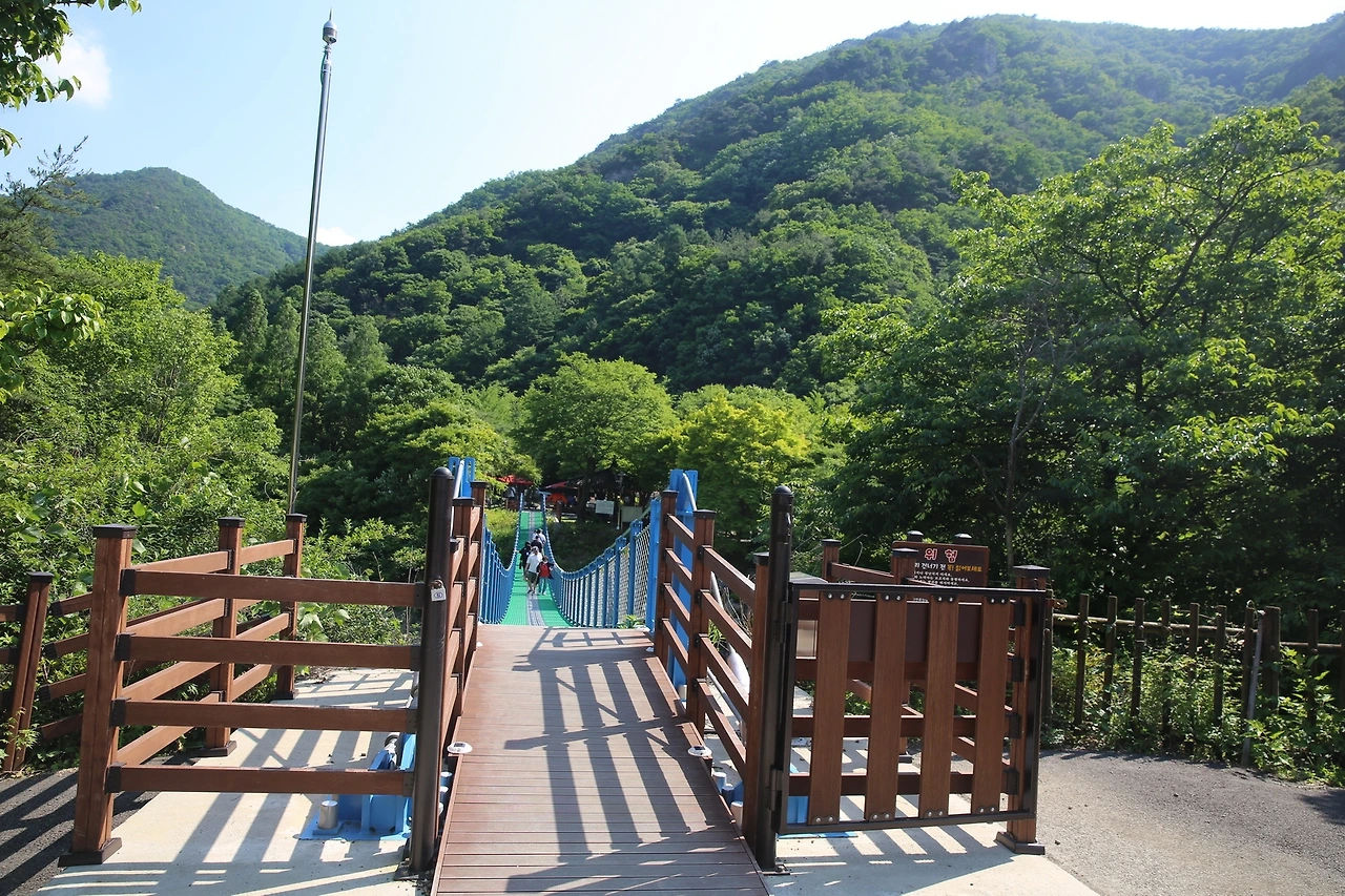 MG0A1555_новый размер.JPG