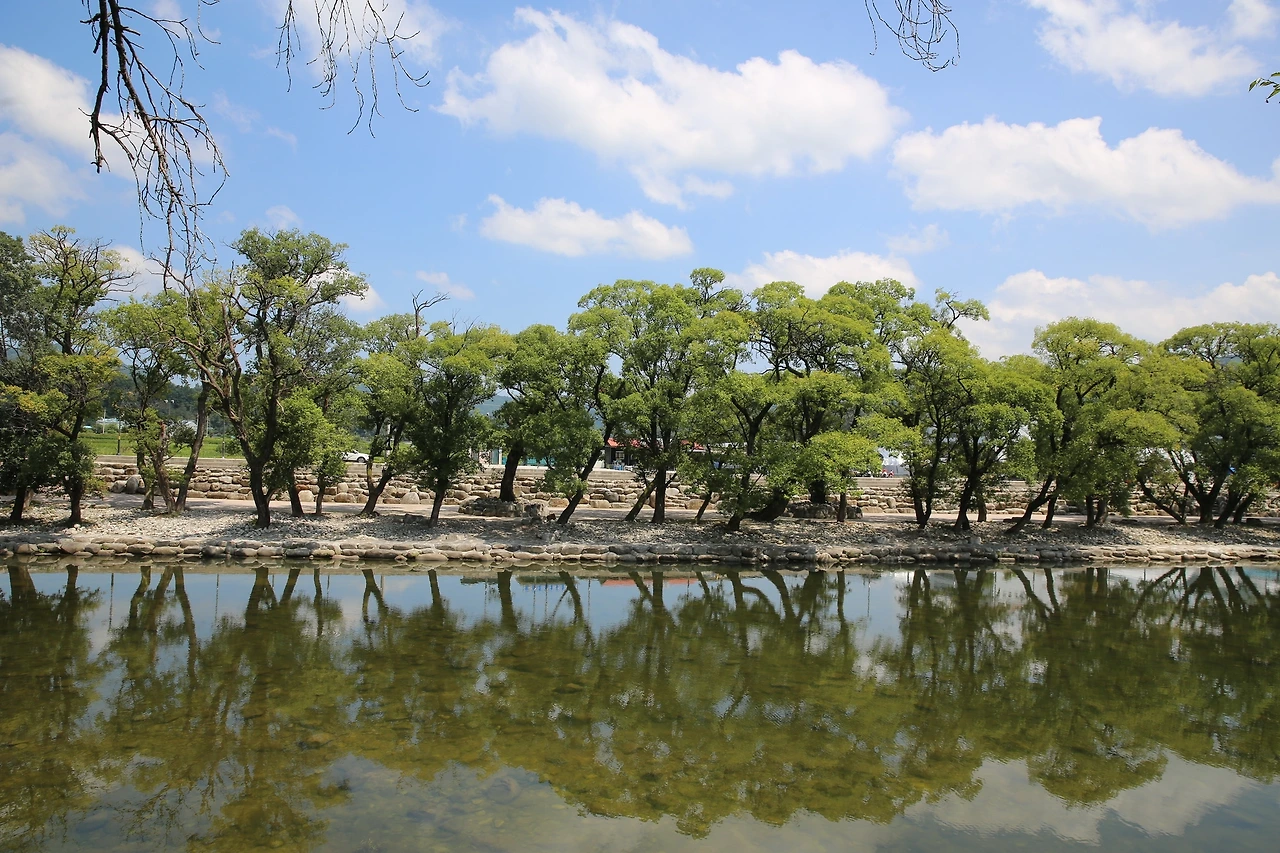 MG0A7301_новый размер.JPG