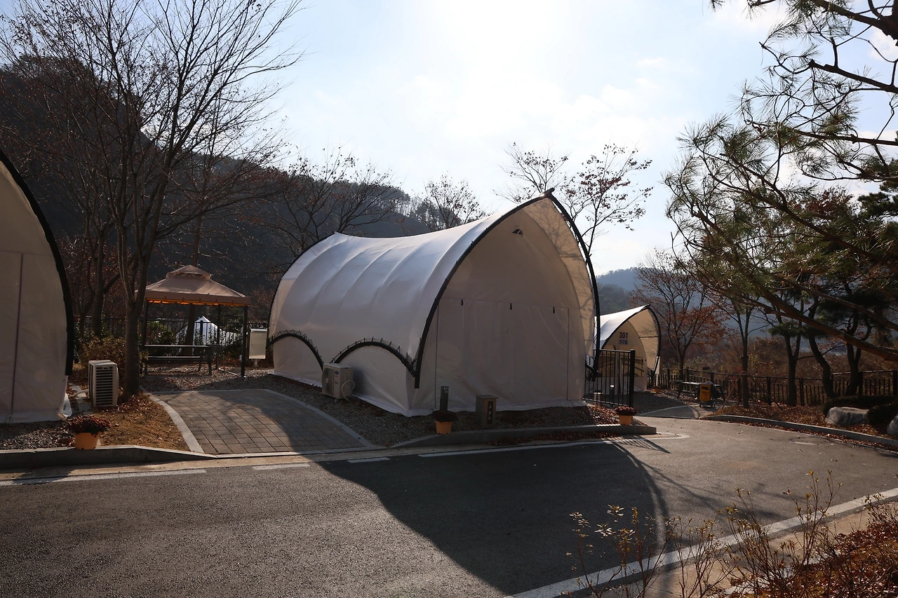 0R5A3497_новый размер.JPG