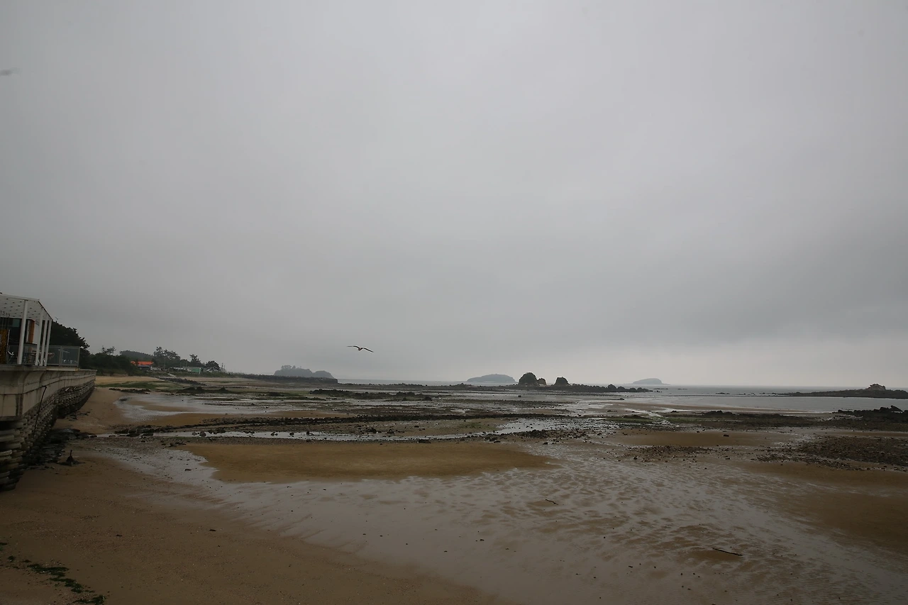 MG0A4999_новый размер.JPG