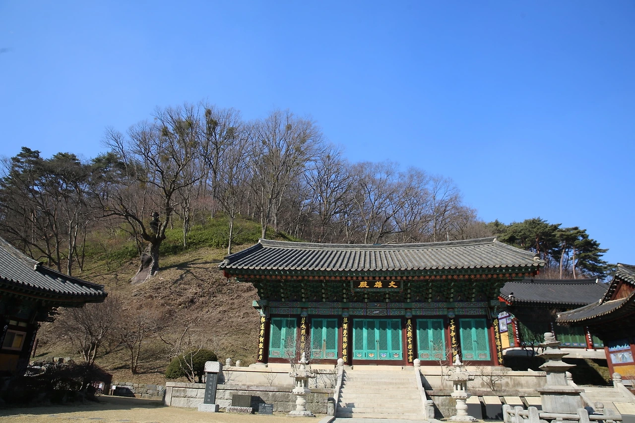 MG0A4394_новый размер.JPG