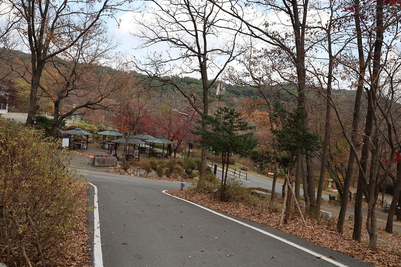 0R5A3106_новый размер.JPG