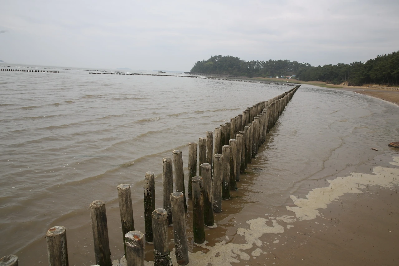 MG0A0554_новый размер.JPG