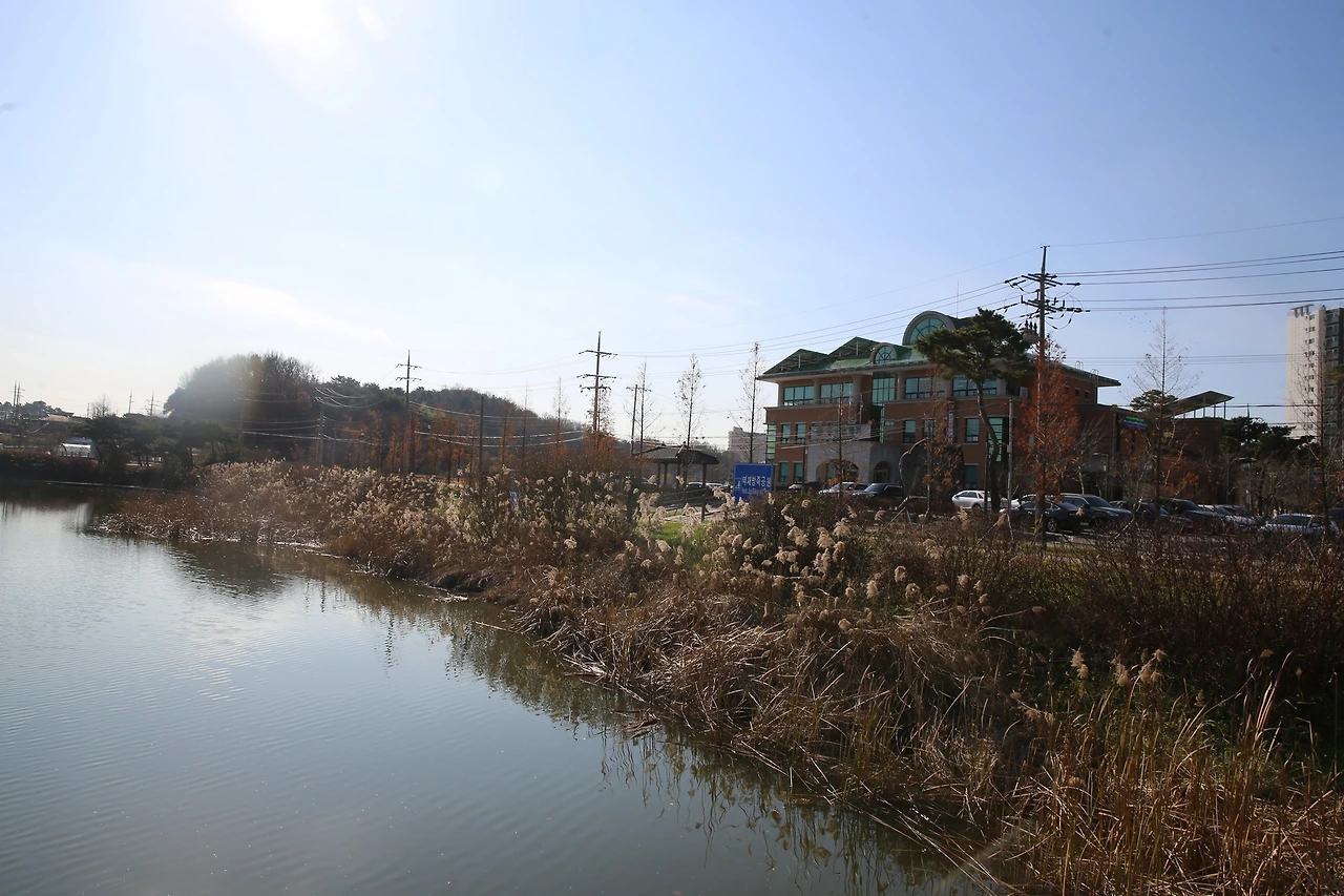 MG0A2707_новый размер.JPG