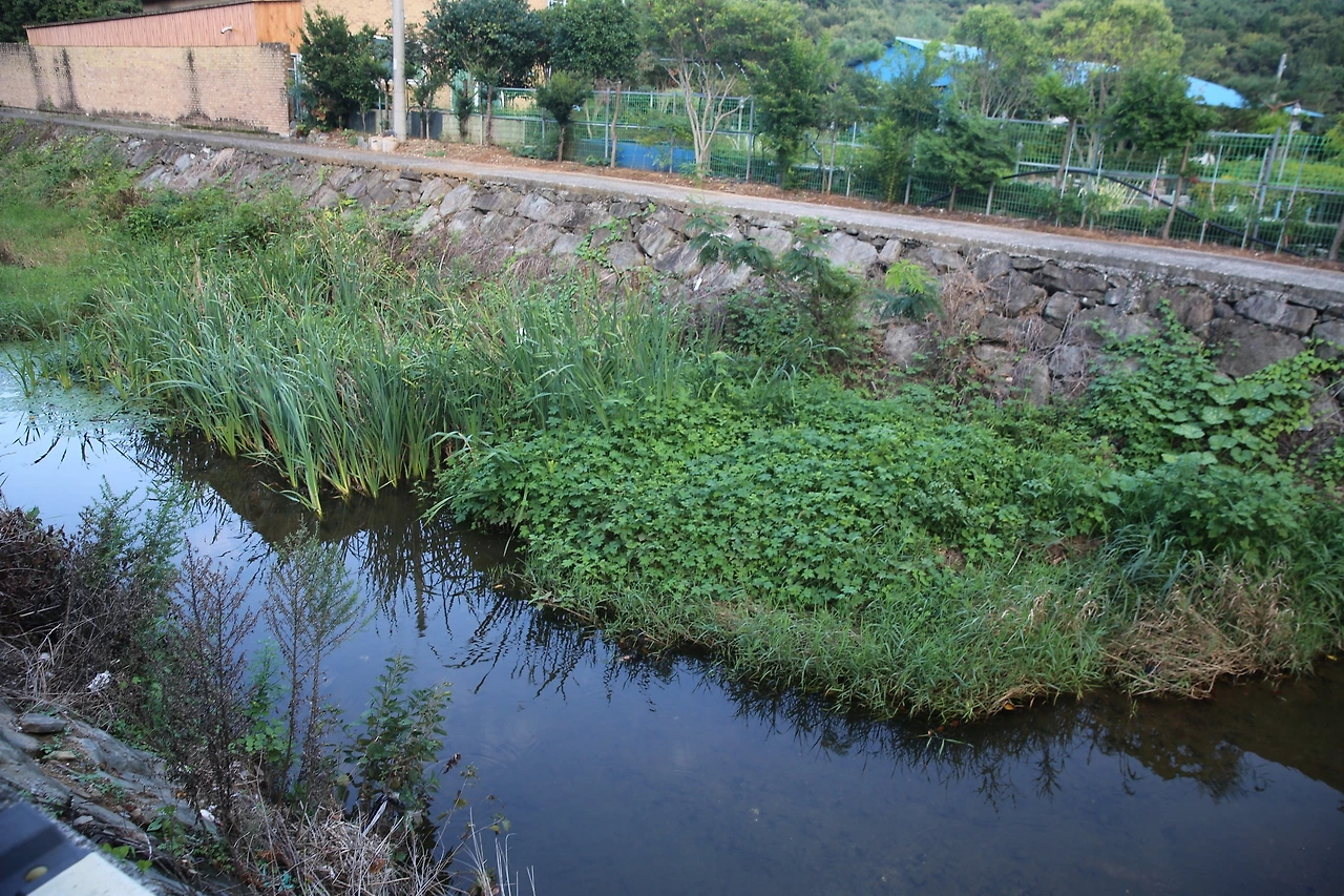 MG0A8799_новый размер.JPG