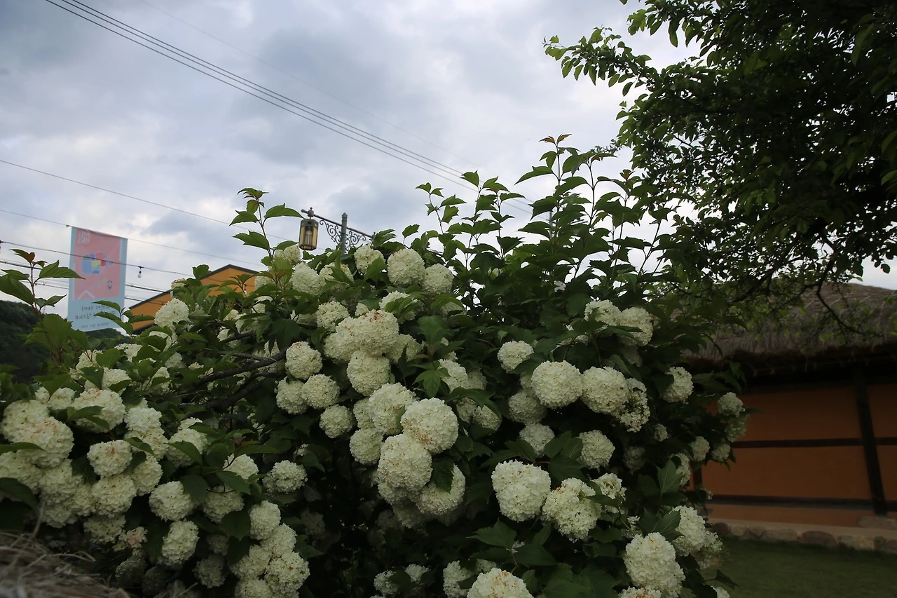 MG0A3398_новый размер.JPG