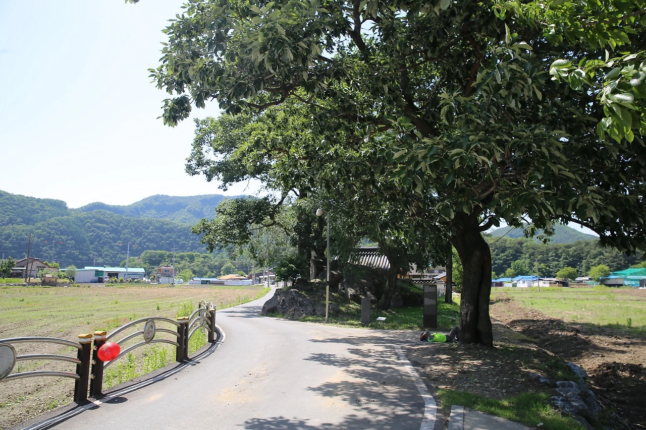 MG0A4151_новый размер.JPG