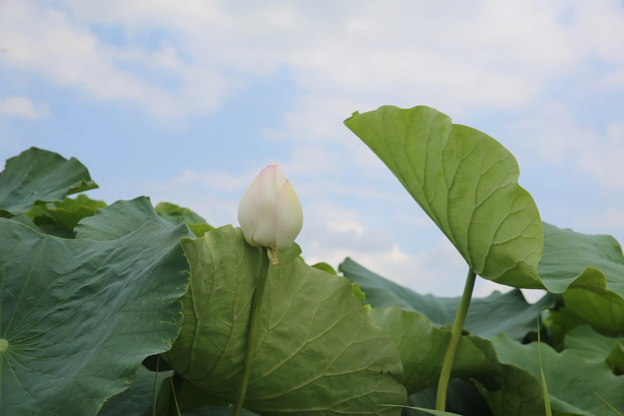 MG0A5226_новый размер.JPG