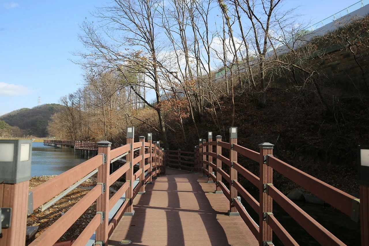 MG0A3674_новый размер.JPG