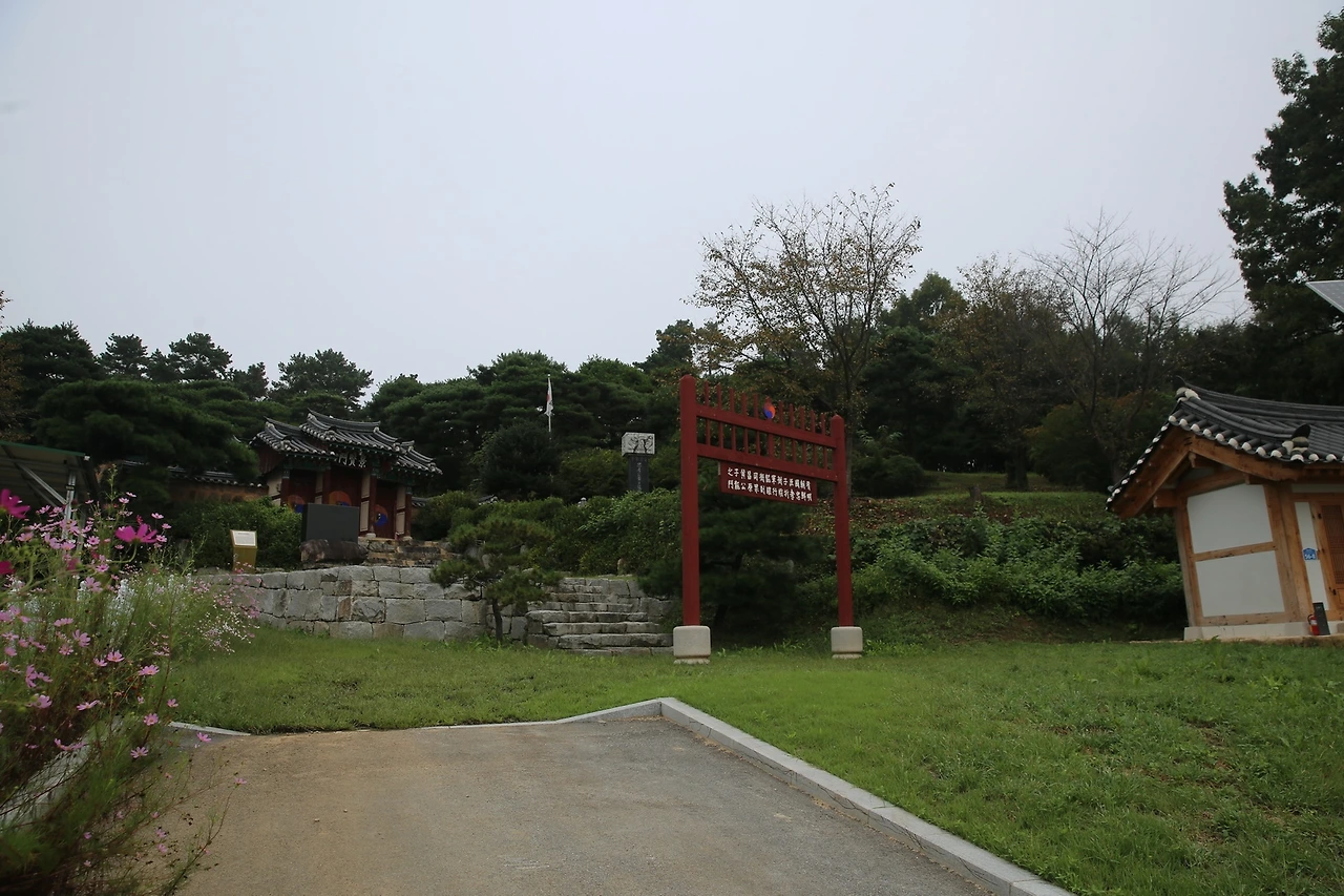 MG0A3550_новый размер.JPG