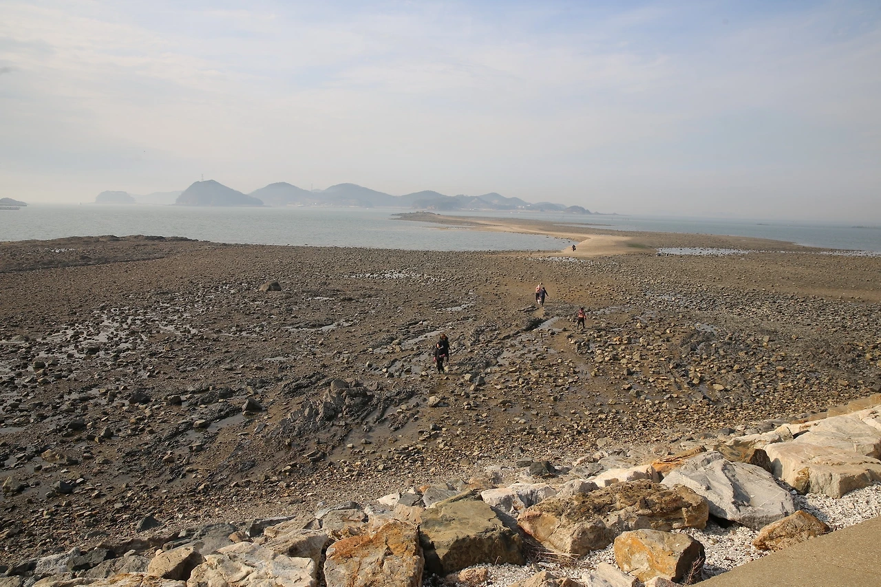 MG0A4529_новый размер.JPG