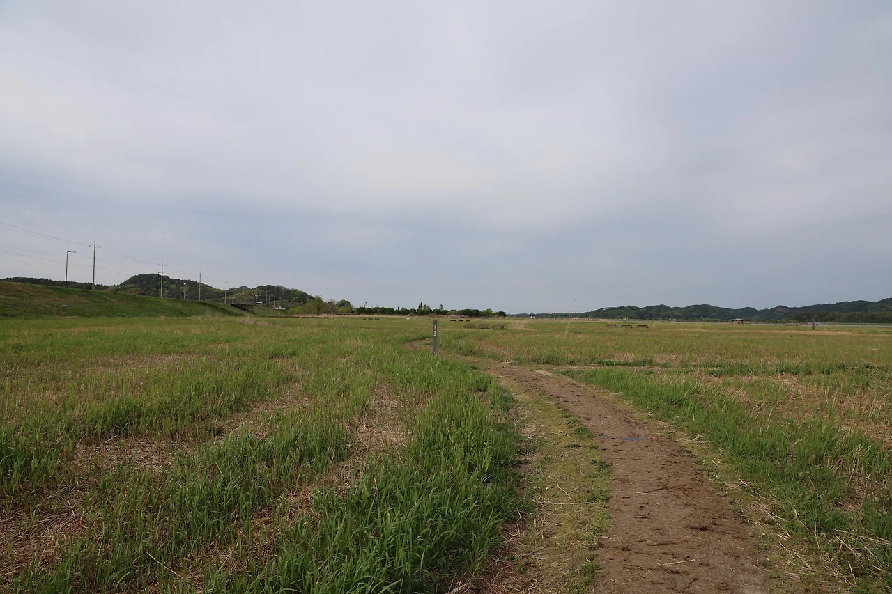 0R5A8477_новый размер.JPG