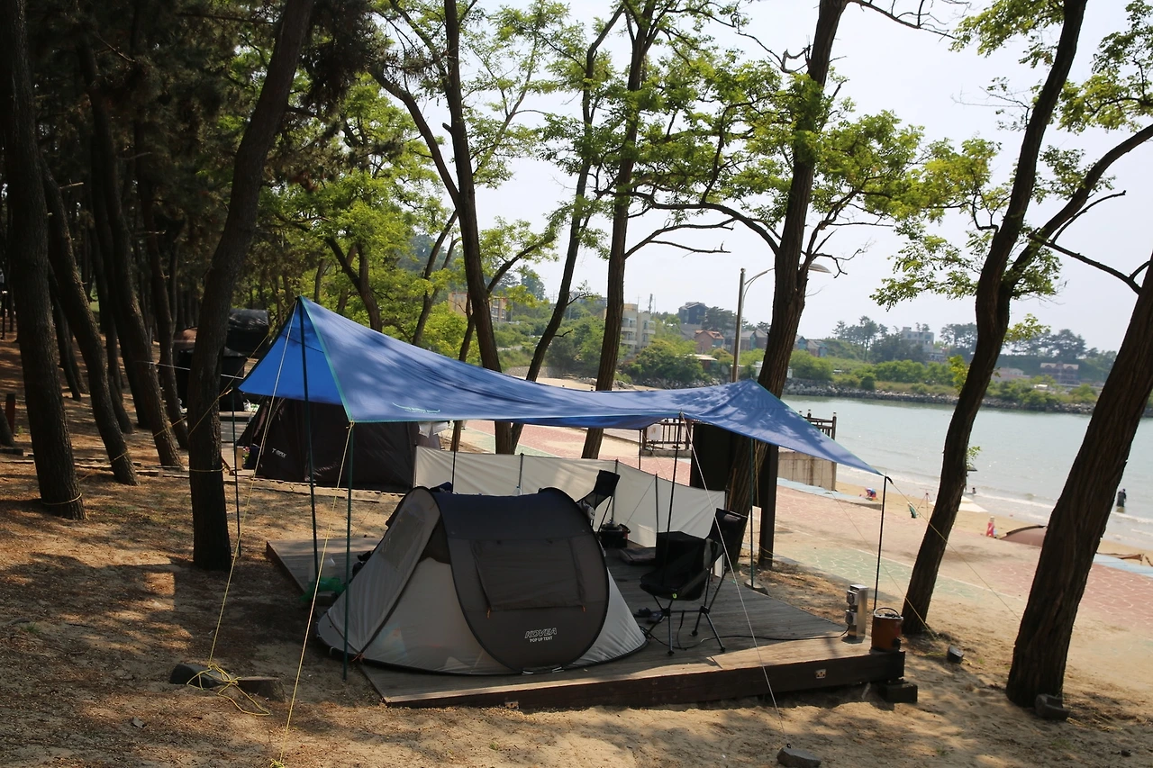 MG0A6330_новый размер.JPG