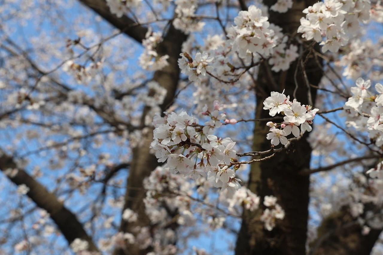 0R5A6523_новый размер.JPG