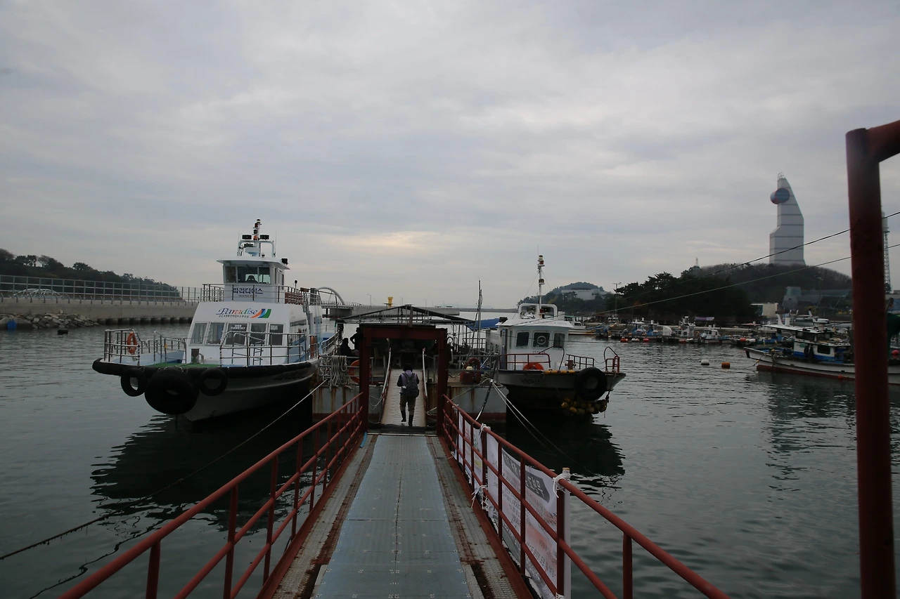 MG0A0504_новый размер.JPG