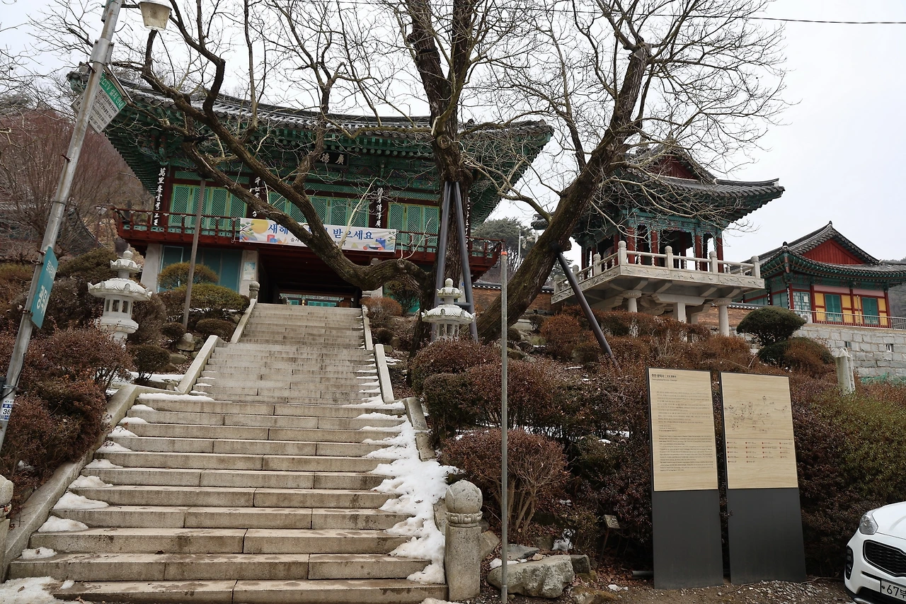 0R5A9558_новый размер.JPG