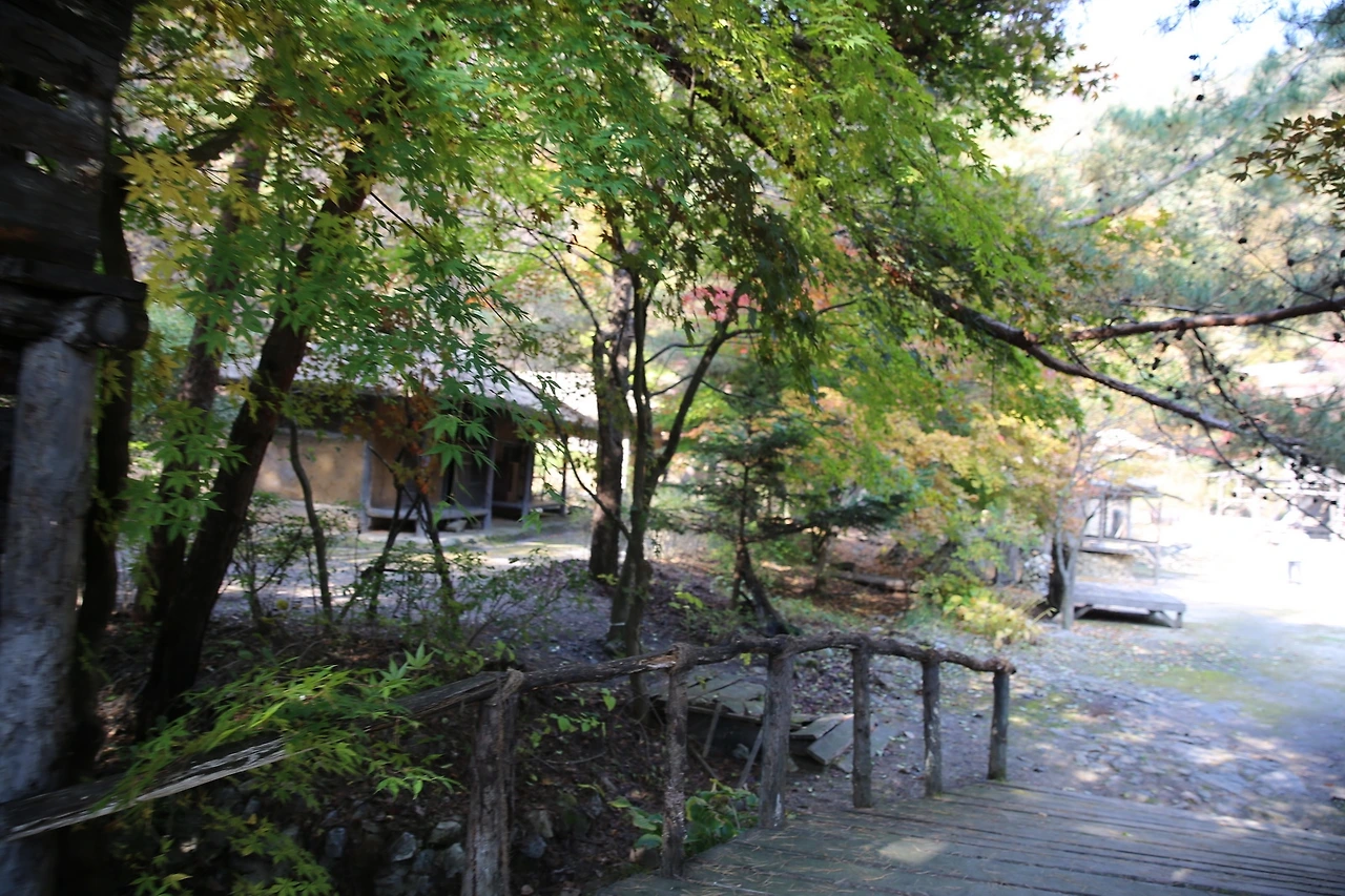 MG0A8018_новый размер.JPG