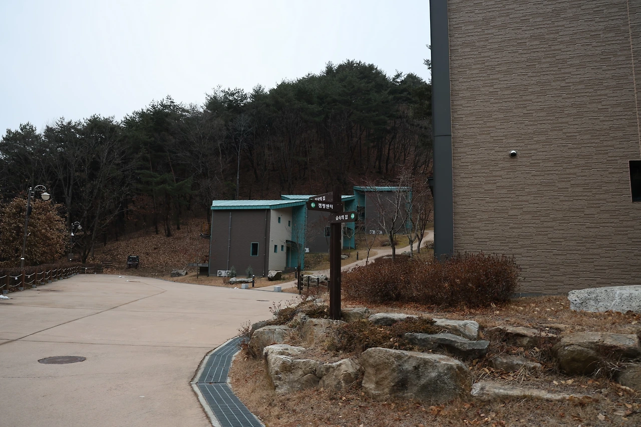 0R5A6652_новый размер.JPG