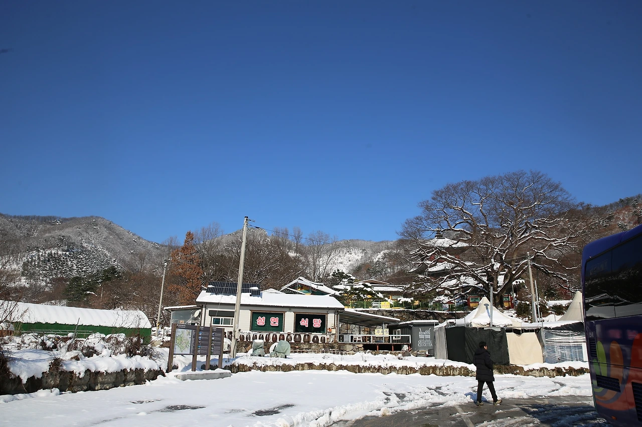 MG0A2321_новый размер.JPG