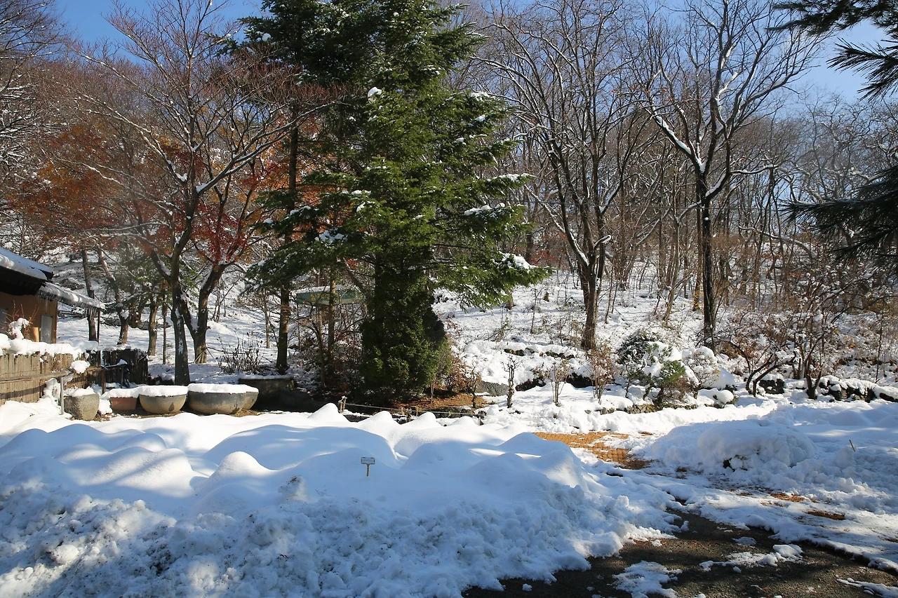 MG0A2348_новый размер.JPG