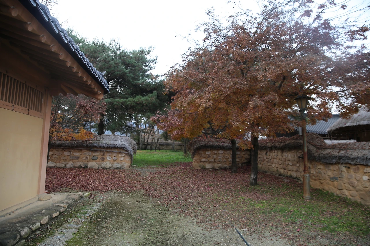 MG0A1827_новый размер.JPG