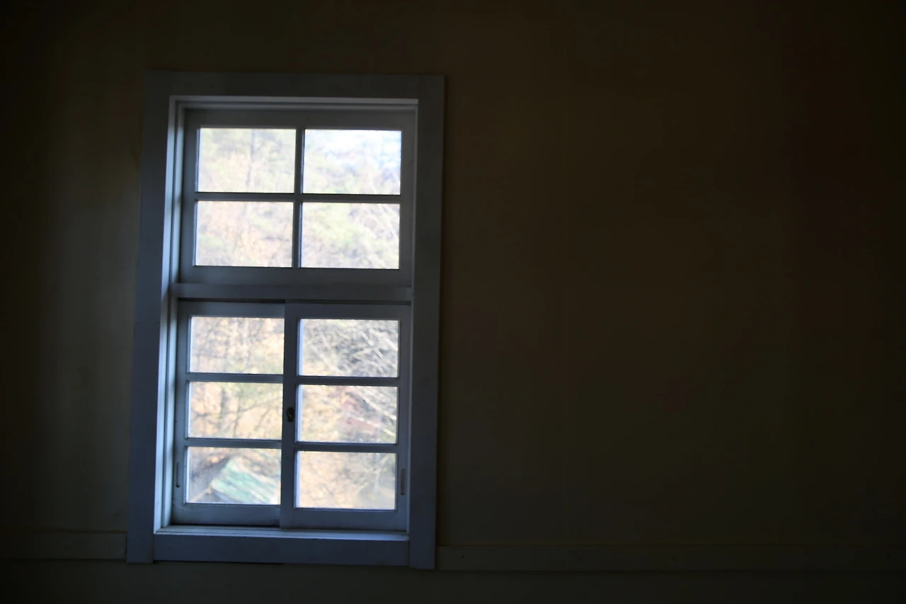 MG0A3551_новый размер.JPG