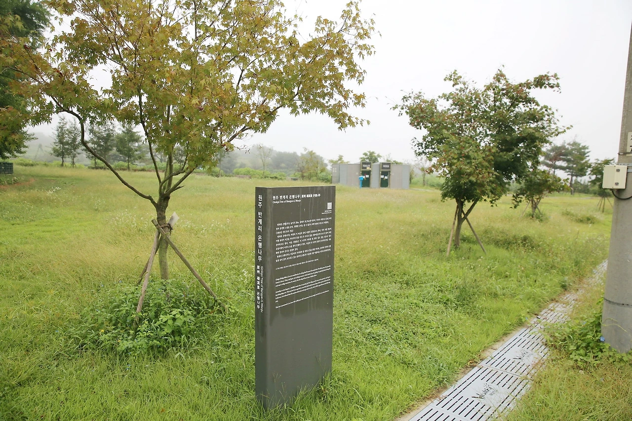 MG0A3576_новый размер_exposure.JPG