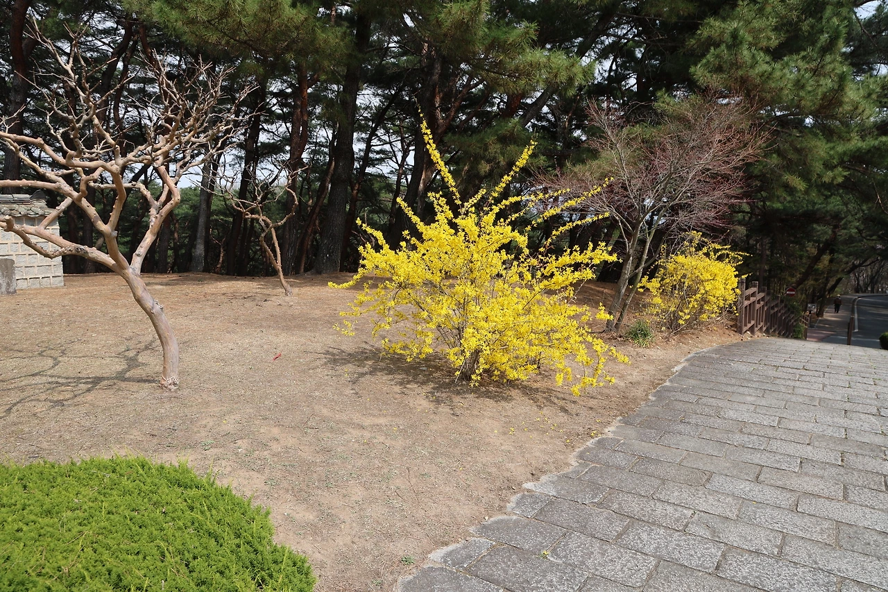 0R5A4708_новый размер.JPG