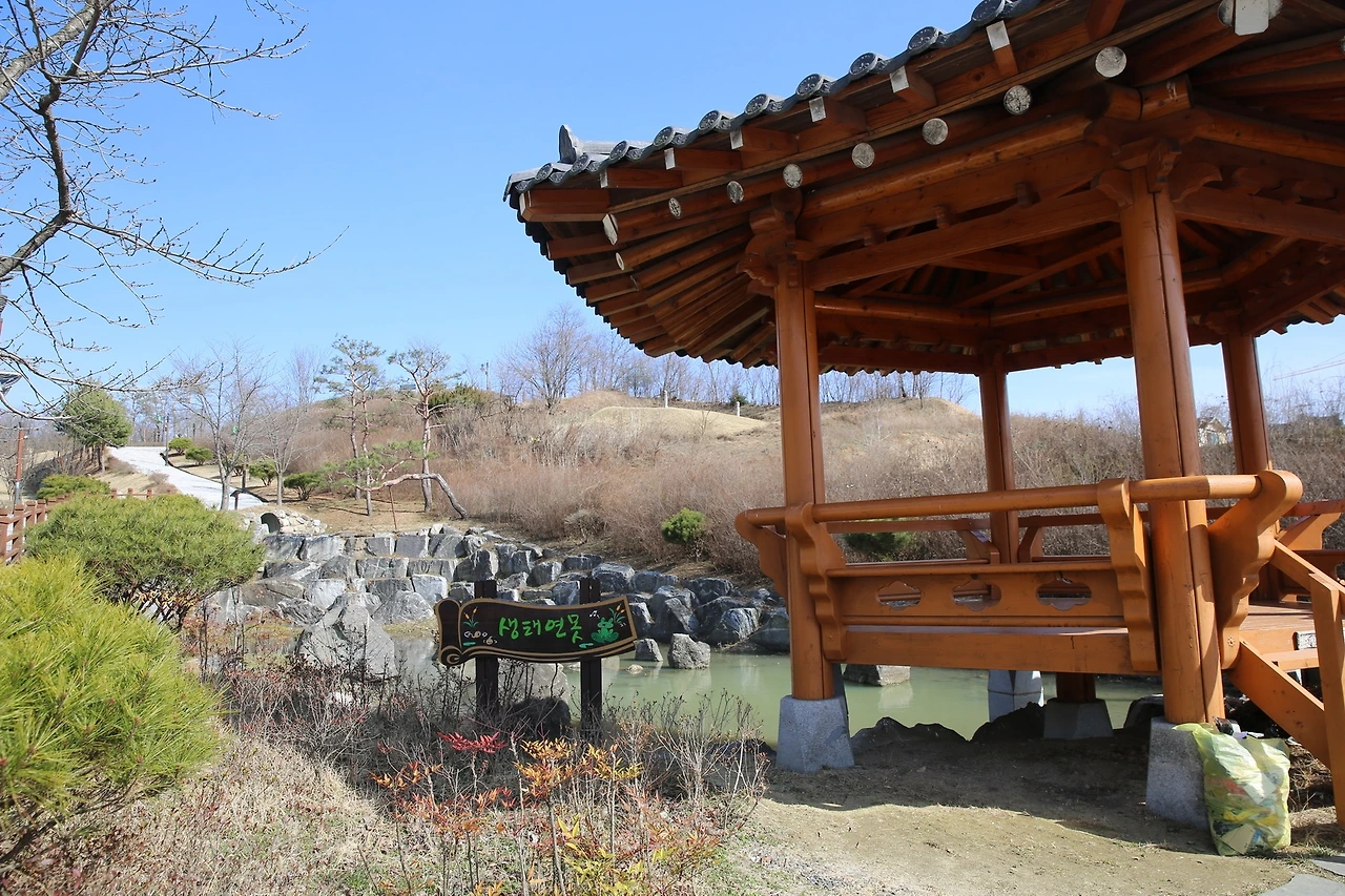 MG0A1831_новый размер.JPG