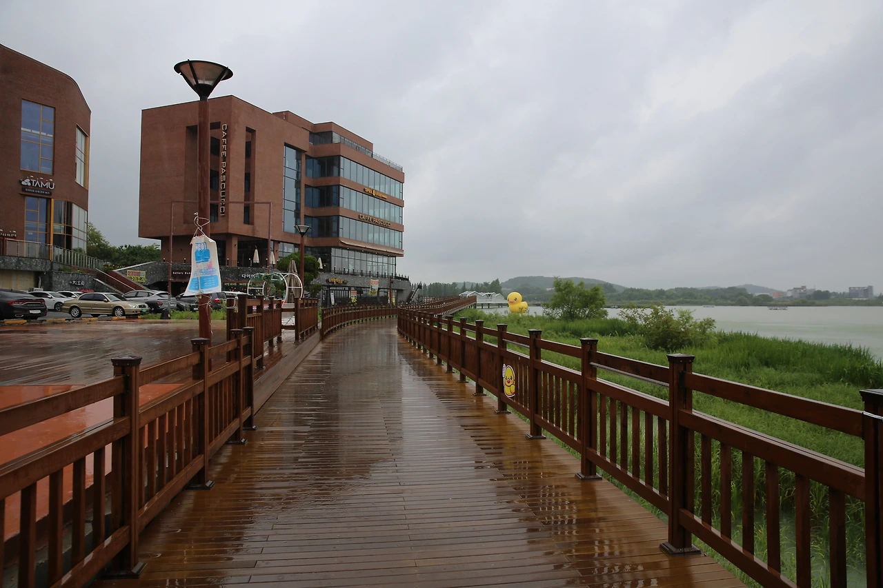 MG0A2540_новый размер.JPG