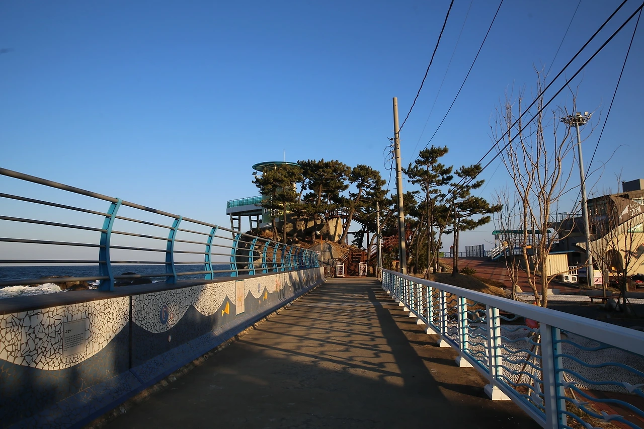 MG0A6687_новый размер.JPG