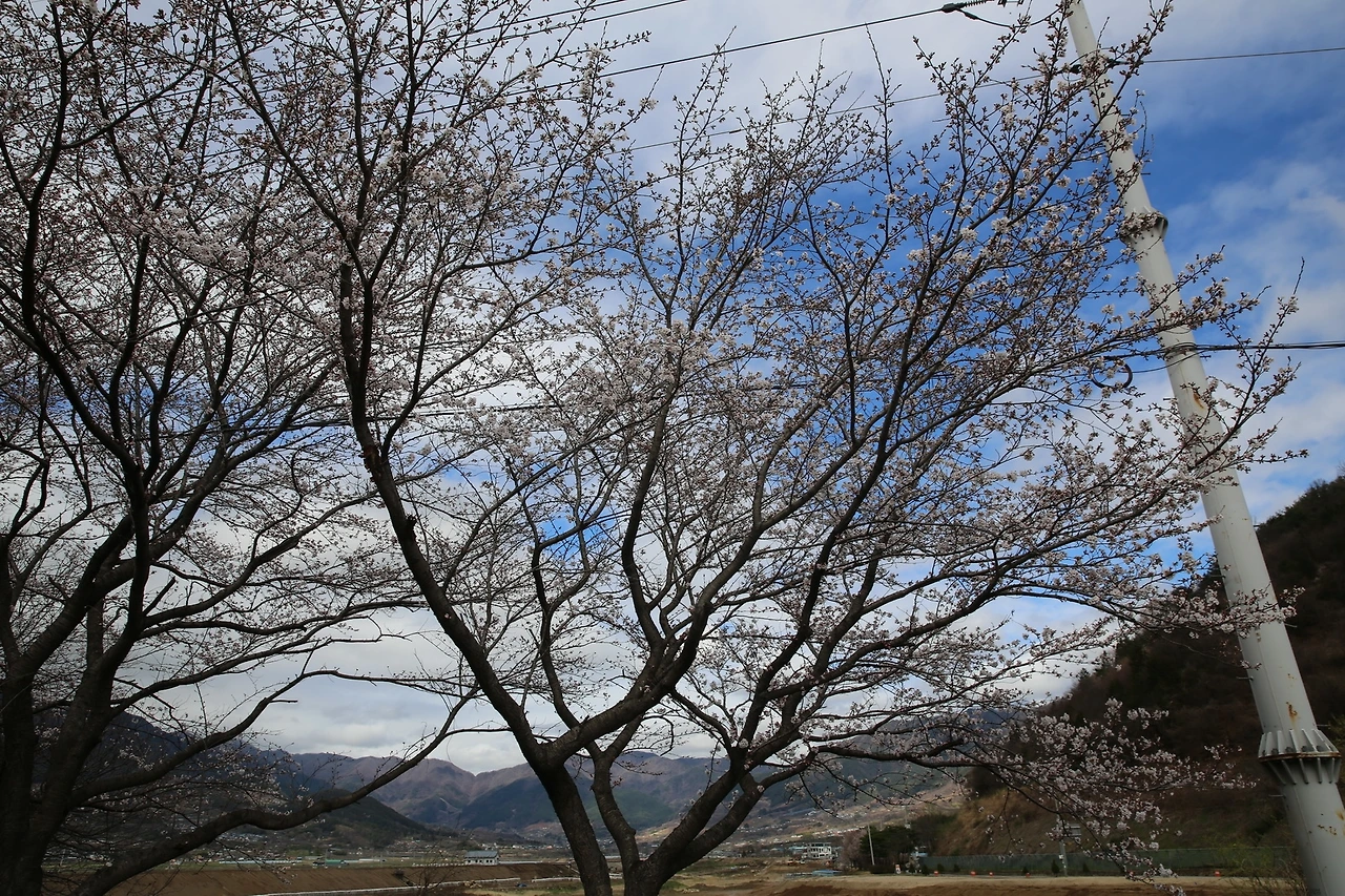 MG0A7127_новый размер.JPG