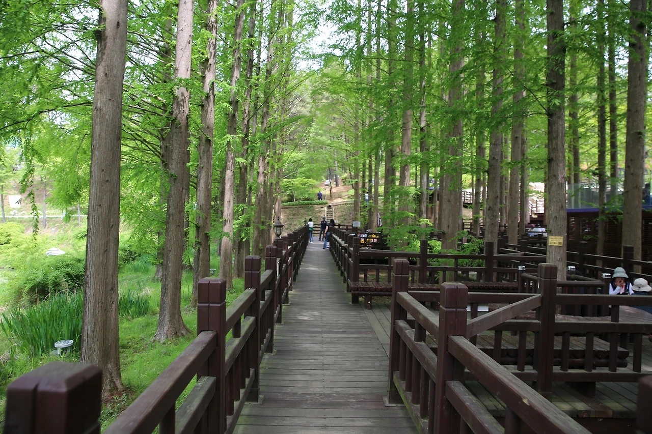 MG0A1124_новый размер.JPG