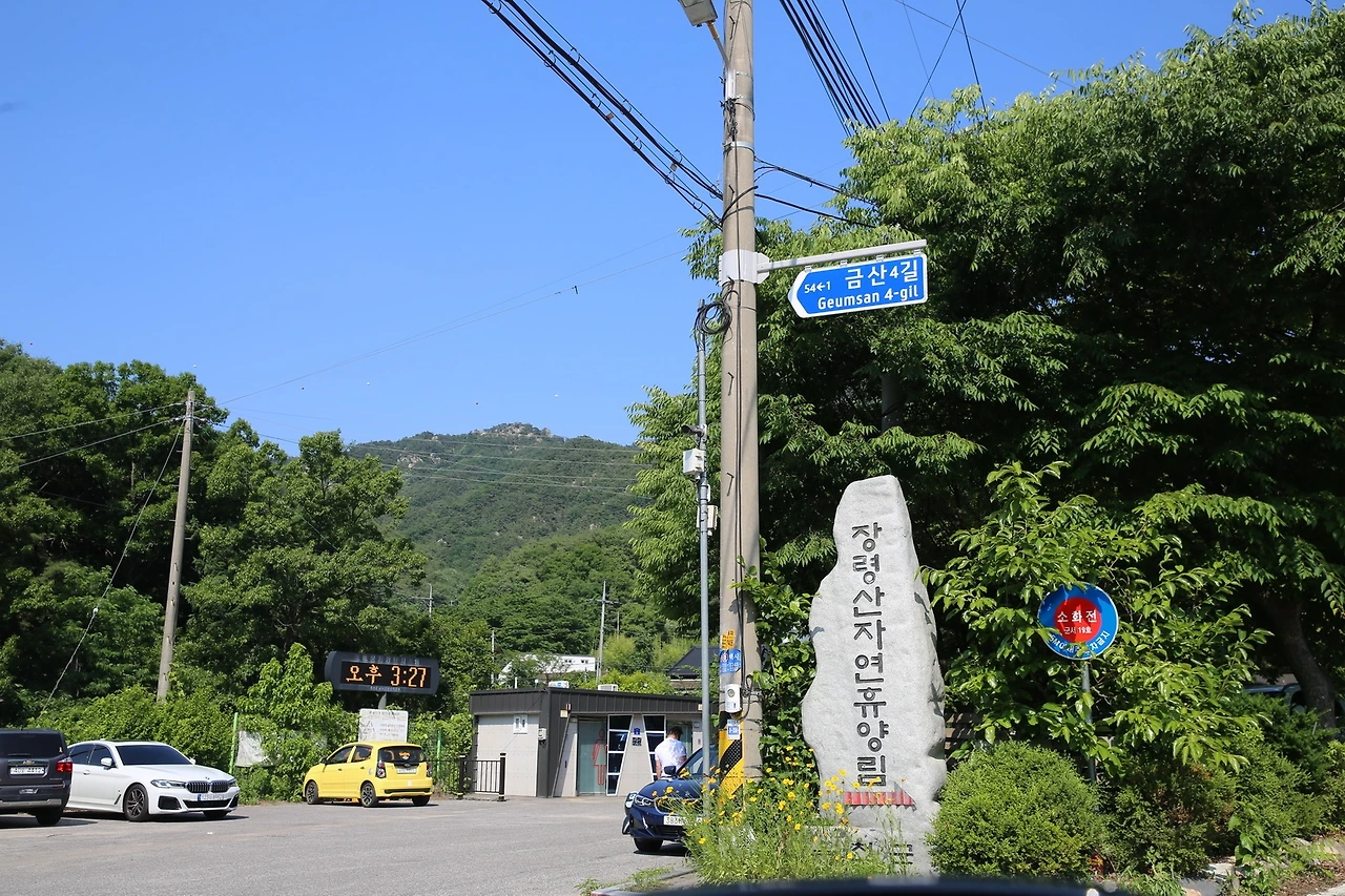 MG0A1534_новый размер.JPG