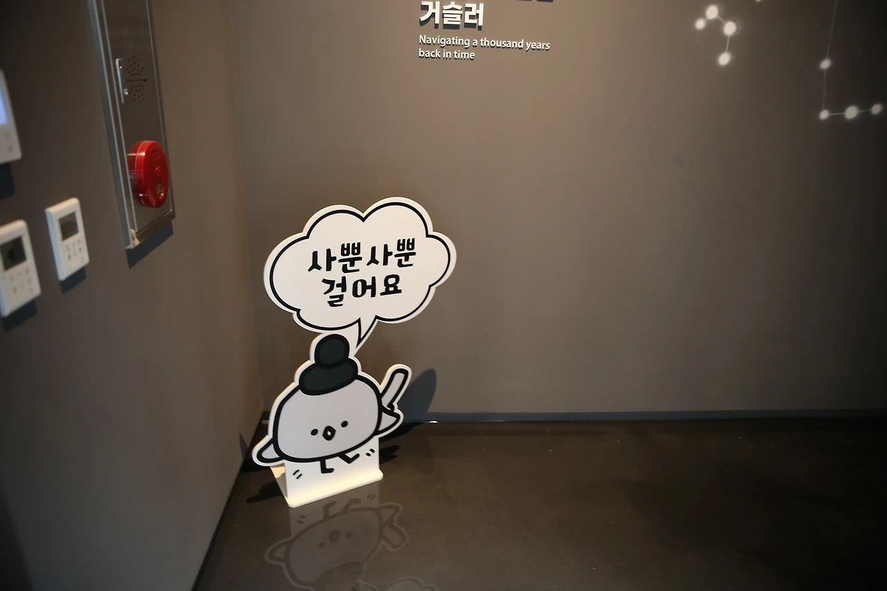 MG0A4753_новый размер.JPG