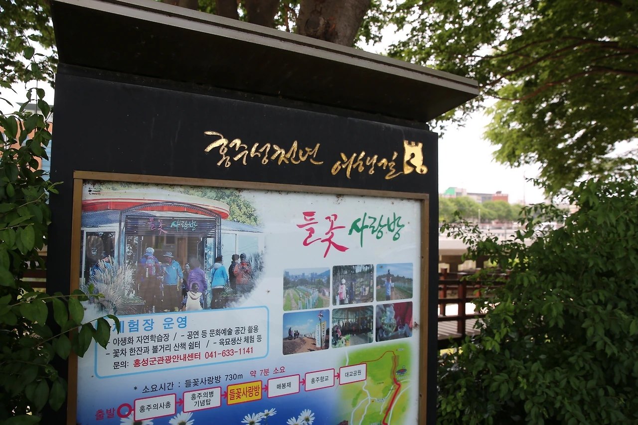 MG0A6168_новый размер.JPG