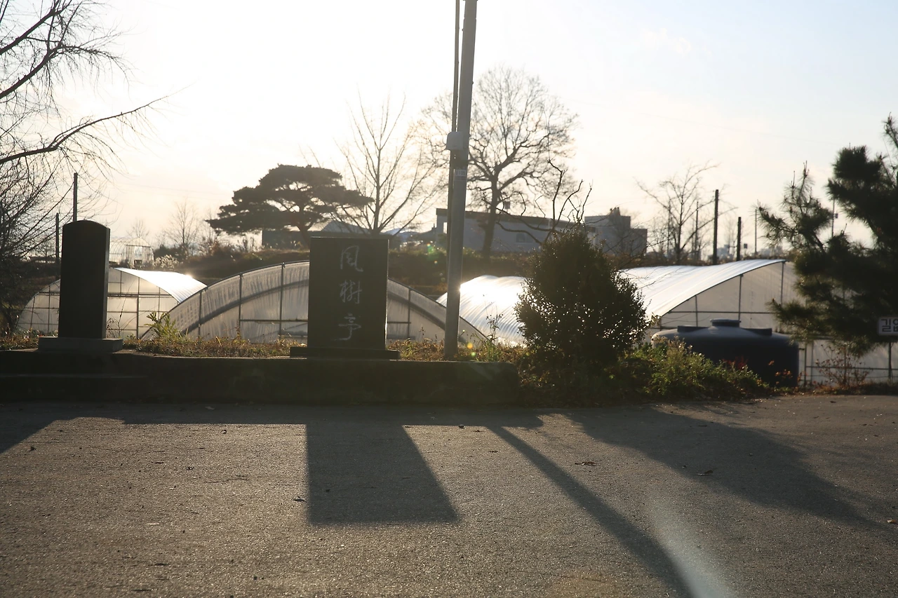 MG0A2946_новый размер.JPG